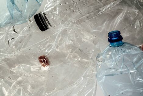 Una bacteria es capaz de convertir botellas de plástico en paracetamol