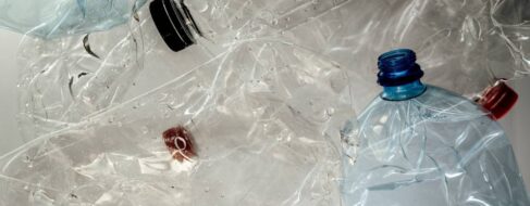 Una bacteria es capaz de convertir botellas de plástico en paracetamol