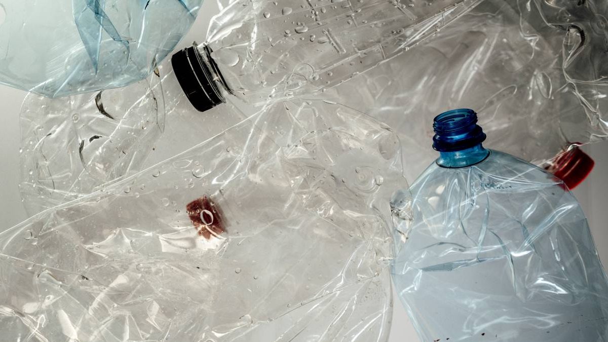 Una bacteria es capaz de convertir botellas de plástico en paracetamol