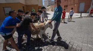 Vox pide prohibir en España la fiesta del cordero por ser un «retroceso cultural»