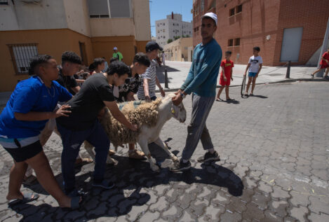 Vox pide prohibir en España la fiesta del cordero por ser un «retroceso cultural»