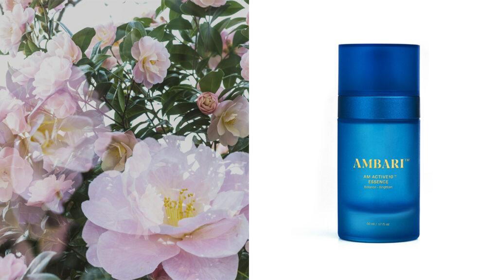 Esencia exfoliante de Ambari que ilumina, matifica y minimiza los poros. (PVP: 105€)