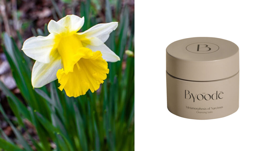 Crema hidratante con flores