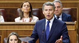 Feijóo acusa a Sánchez de ser «el lobo que ha liderado estos años una manada corrupta»