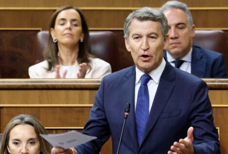 Feijóo acusa a Sánchez de ser «el lobo que ha liderado estos años una manada corrupta»