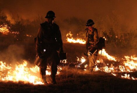 Incendios buenos: la paradoja del fuego provocado que beneficia al bosque