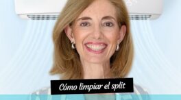Así limpia los filtros del aire acondicionado Pía Nieto: el truco que mejor funciona
