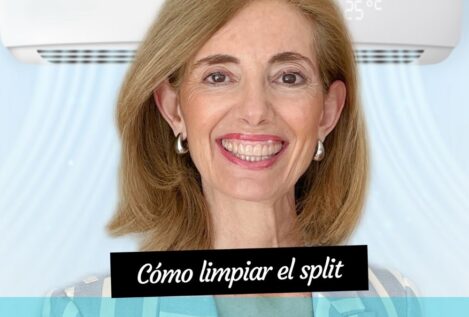 Así limpia los filtros del aire acondicionado Pía Nieto: el truco que mejor funciona