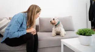 Cuando el fumador pasivo no habla: cómo el humo del tabaco afecta a las mascotas