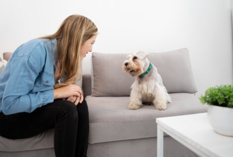 Cuando el fumador pasivo no habla: cómo el humo del tabaco afecta a las mascotas