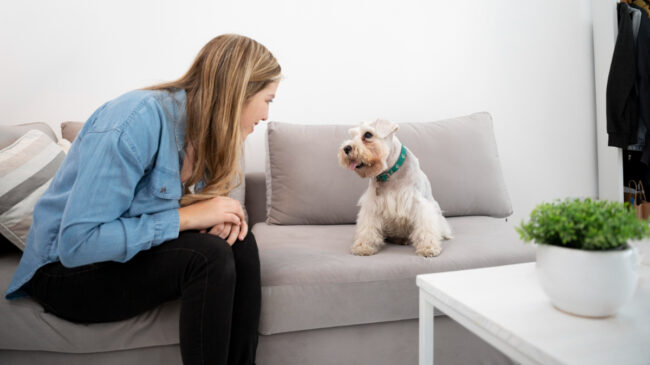 Cuando el fumador pasivo no habla: cómo el humo del tabaco afecta a las mascotas