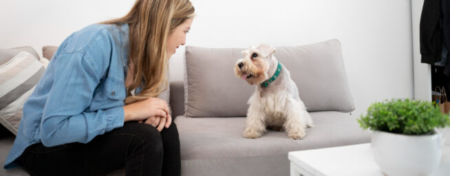 Cuando el fumador pasivo no habla: cómo el humo del tabaco afecta a las mascotas