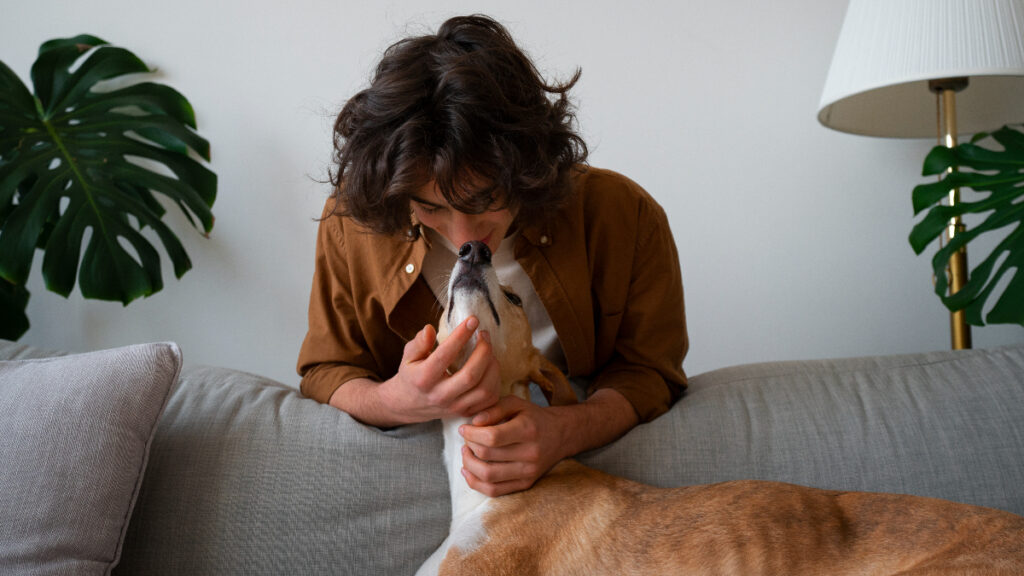 mascotas-humo-tabaco-riesgos-perro-sofa