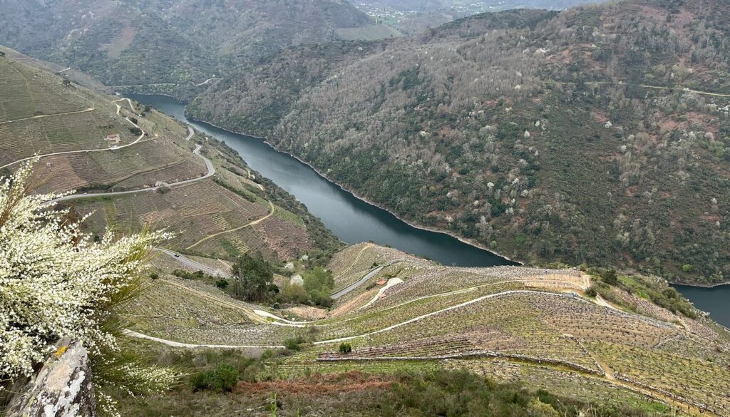 Mirador do Duque | Tripadvisor