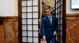 Una plataforma ciudadana pide 35 diputados a PP y Vox para una moción contra Sánchez