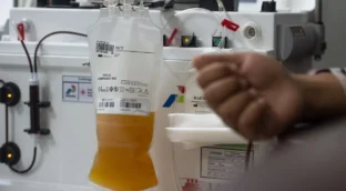 España desperdicia 35.000 litros de plasma al año pese a ser deficitaria en hemoderivados