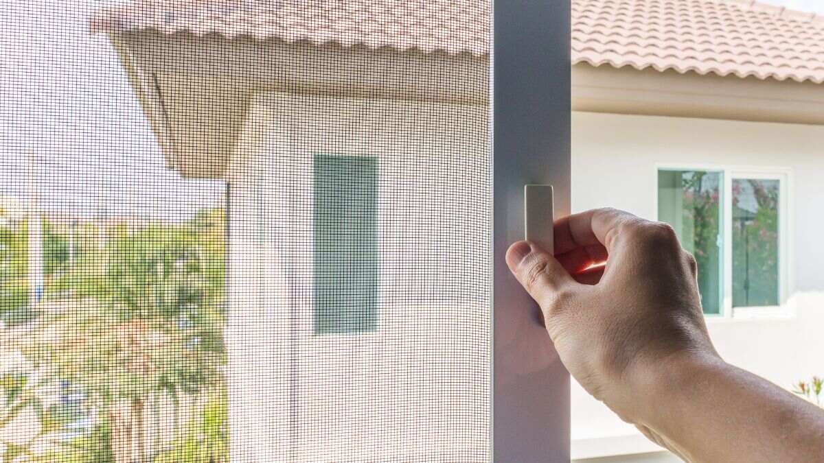 Limpieza de mosquiteras: el innovador truco con secador que necesitas conocer