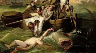 El tiburón siembra el pánico