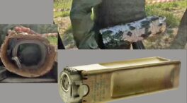 El ejército ucraniano aterra a los soldados rusos con un arma vegetal: los árboles-mina