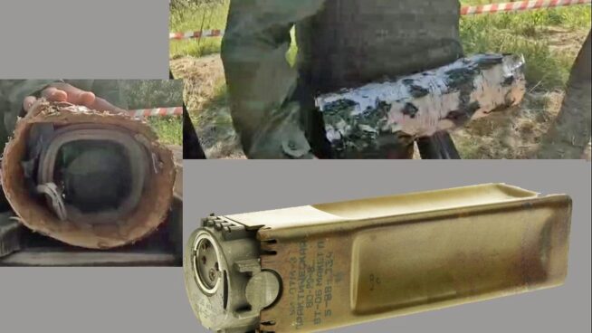 El ejército ucraniano aterra a los soldados rusos con un arma vegetal: los árboles-mina