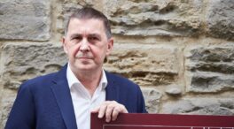 Otegi denuncia que hay tribunales que «siguen haciendo gala de su euskarafobia»