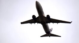 La OMS rastrea a 80 pasajeros de un vuelo tras un caso de hantavirus ligado al crucero