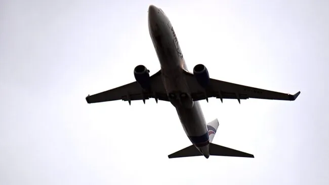 La OMS rastrea a 80 pasajeros de un vuelo tras un caso de hantavirus ligado al crucero