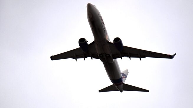 La OMS rastrea a 80 pasajeros de un vuelo tras un caso de hantavirus ligado al crucero