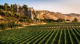 Comarca de Las Vegas y Alcarria Madrileña: la ruta secreta al sabor más auténtico de Madrid