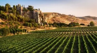 Comarca de Las Vegas y Alcarria Madrileña: la ruta secreta al sabor más auténtico de Madrid