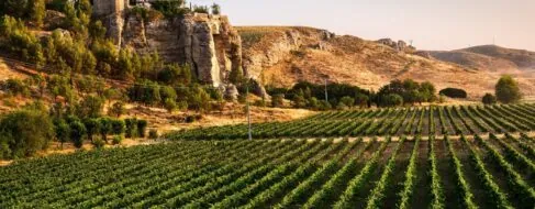 Comarca de Las Vegas y Alcarria Madrileña: la ruta secreta al sabor más auténtico de Madrid