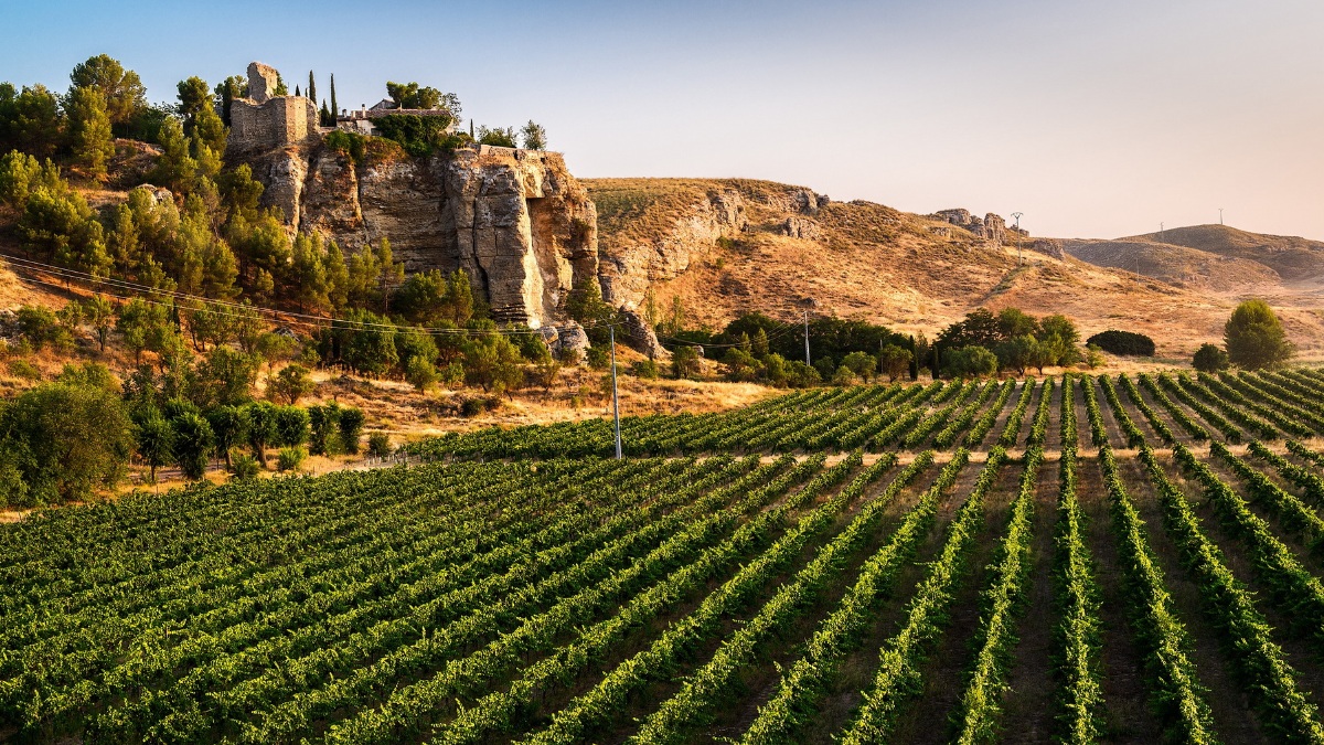 Comarca de Las Vegas y Alcarria Madrileña: la ruta secreta al sabor más auténtico de Madrid