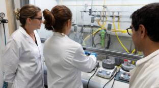 Crean un método para fabricar plásticos sin metales pesados ni disolventes tóxicos