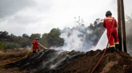 España redujo el número de incendios y la superficie quemada, según un informe de WWF