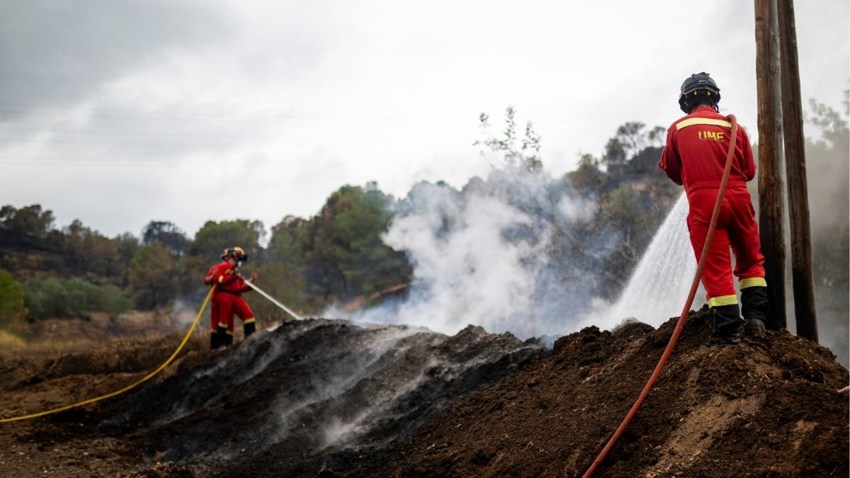 España redujo el número de incendios y la superficie quemada, según un informe de WWF