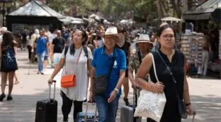 Las empresas turísticas llevan meses pidiendo reforzar el mantenimiento de las vías