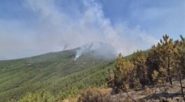 Los efectivos trabajan en controlar varios flancos del incendio en Las Hurdes (Cáceres)