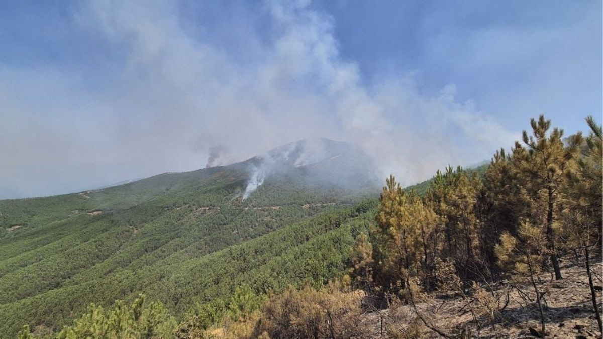 Los efectivos trabajan en controlar varios flancos del incendio en Las Hurdes (Cáceres)