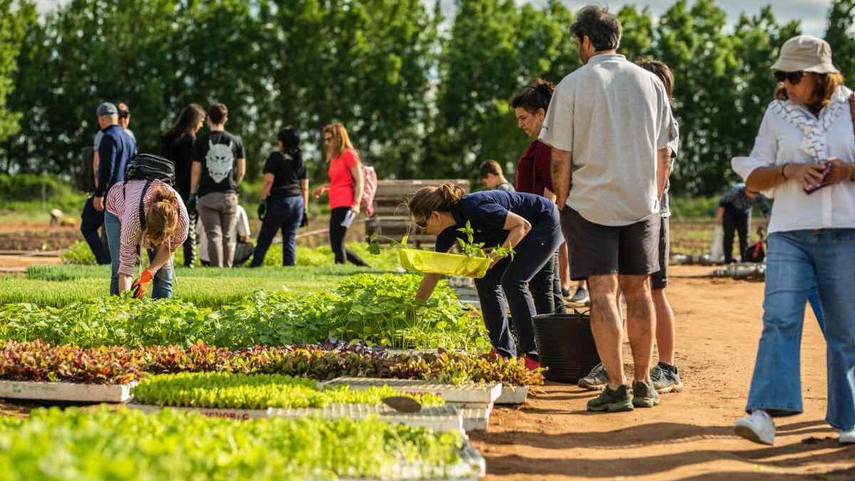 Del huerto a la mesa, el proyecto urbano de Gardening Valladolid