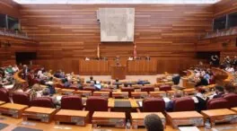 La nueva Ley de Publicidad Institucional de Castilla y León entra en vigor este sábado