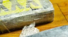 Incautan 282 kilos de cocaína tras desmantelar una guardería de droga en un piso turístico de Málaga
