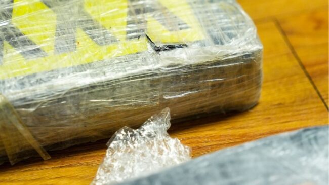 Incautan 282 kilos de cocaína tras desmantelar una guardería de droga en un piso turístico de Málaga