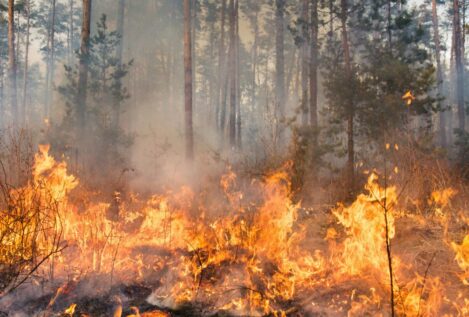 Incendios activos en España, hoy: situación crítica en Tarragona y Plasencia, alerta activa