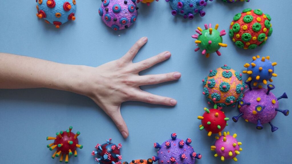 Bacterias | Canva