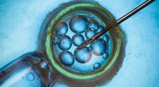 Ocho bebés nacen sin una enfermedad hereditaria gracias a la donación mitocondrial