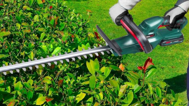 Descubre el poder y la comodidad de los mejores cortasetos eléctricos a batería