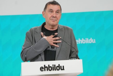 Otegi ve difícil sostener al Gobierno sin un proyecto alternativo al bloque reaccionario