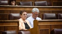 Bildu lleva una ley al Congreso para prohibir los anuncios de apartamentos turísticos ilegales