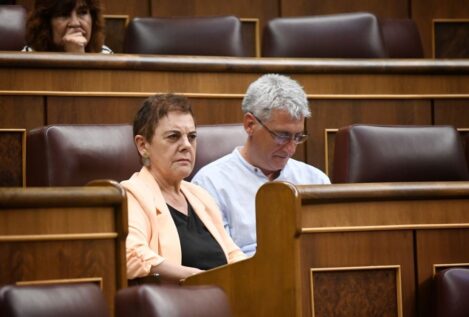 Bildu lleva una ley al Congreso para prohibir los anuncios de apartamentos turísticos ilegales