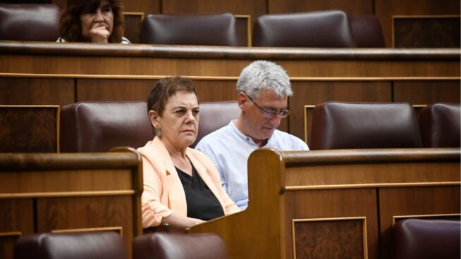 Bildu lleva una ley al Congreso para prohibir los anuncios de apartamentos turísticos ilegales